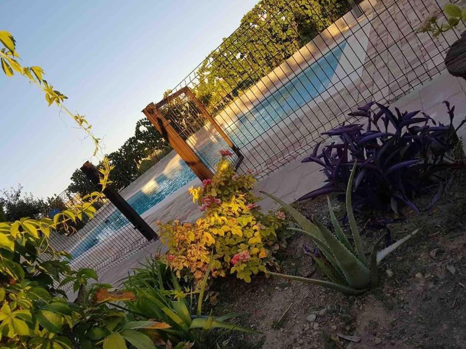 Casa Rural Alma Totanes ภายนอก รูปภาพ