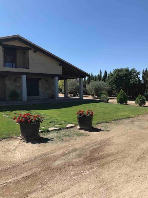 Casa Rural Alma Totanes ภายนอก รูปภาพ